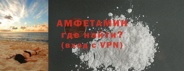 мет Алексин