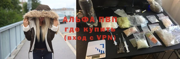 мет Алексин