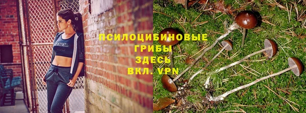 apvp Алексеевка