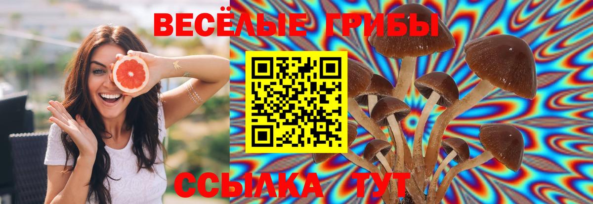Учалы  Псилоцибиновые грибы MAGIC MUSHROOMS  Псилоцибиновые грибы Magic Shrooms  Вход с VPN 